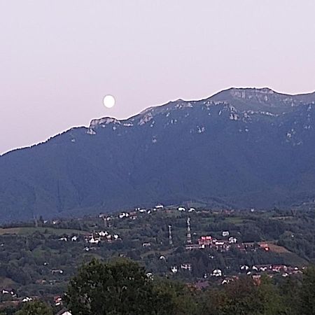 Pensiunea Bella Predelut برانْ المظهر الخارجي الصورة