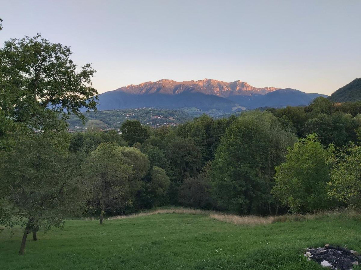 Pensiunea Bella Predelut برانْ المظهر الخارجي الصورة