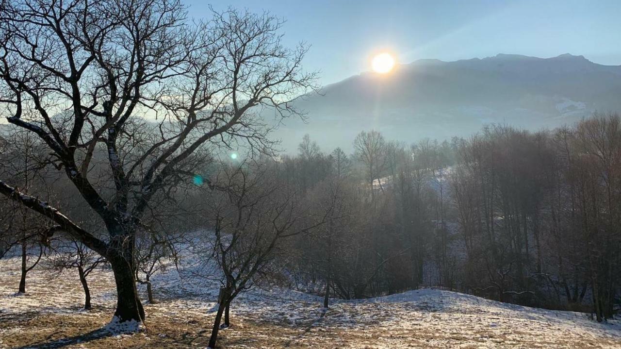 Pensiunea Bella Predelut برانْ المظهر الخارجي الصورة